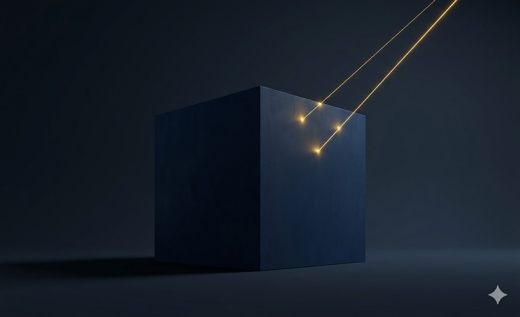 Black Box Penetration Testing